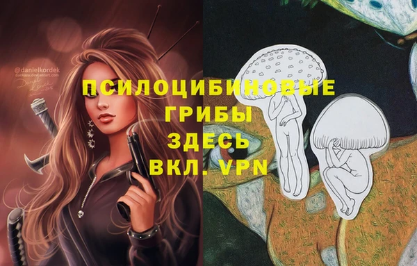 альфа пвп Белокуриха