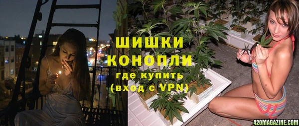 прущие крисы Пестово