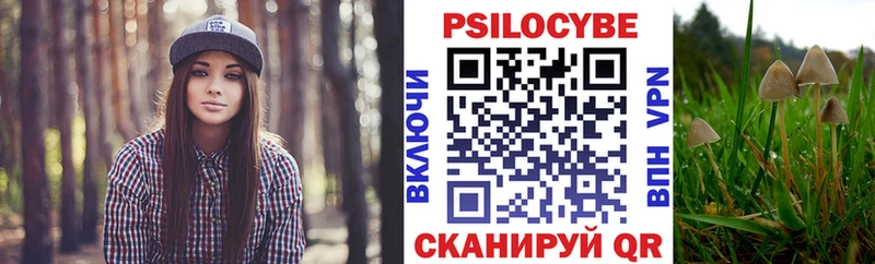 ОМГ ОМГ зеркало  Тулун  Псилоцибиновые грибы GOLDEN TEACHER 